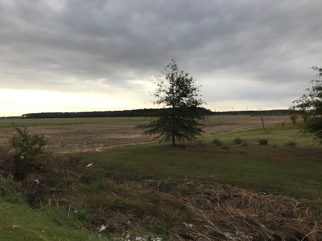 1905 Weeksville Rd, Elizabeth City, NC à vendre - Photo de l’immeuble – Image 2 sur 5