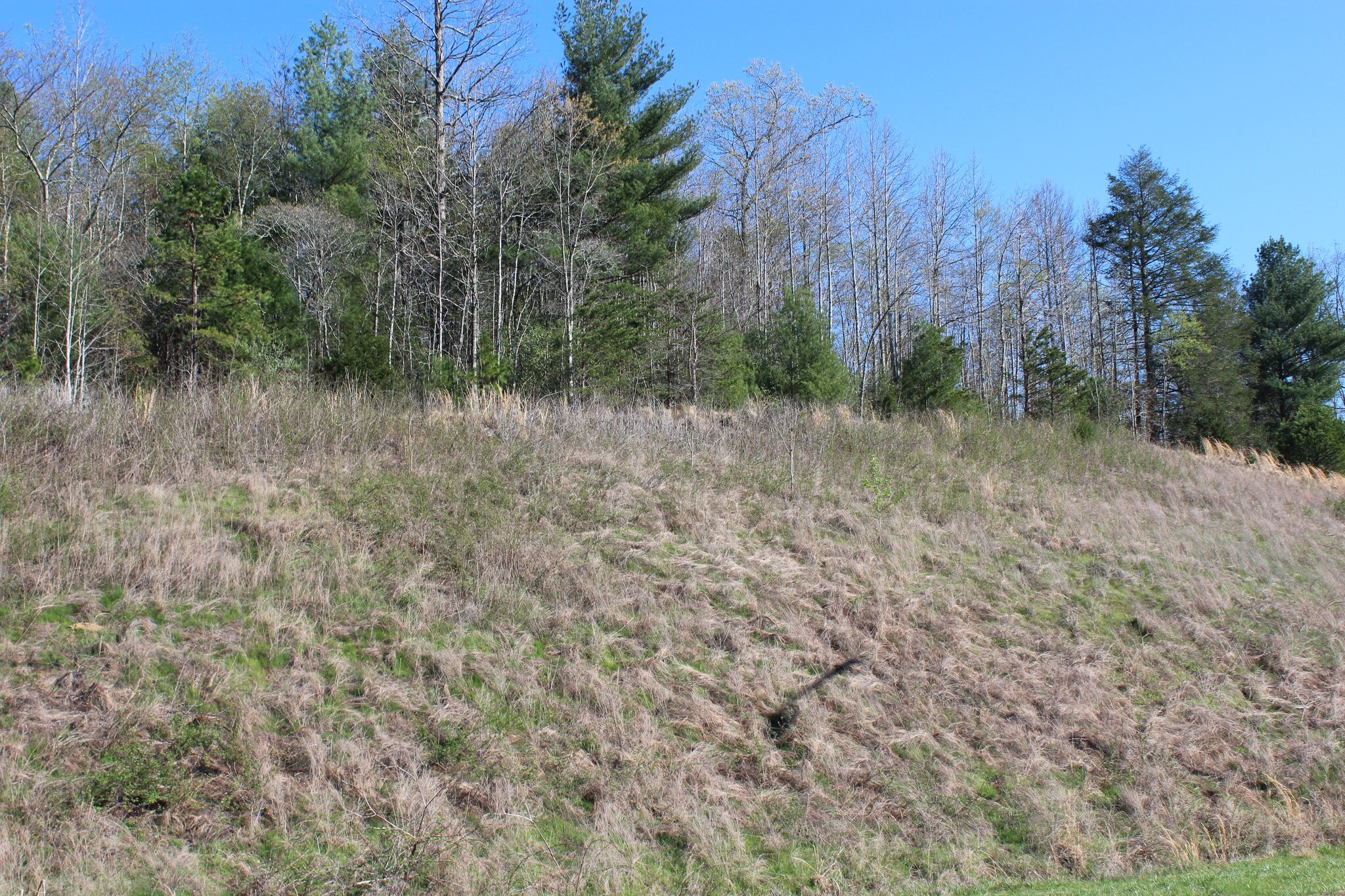 Hickory Blvd & McClean Dr, Lenoir, NC à vendre Photo principale– Image 1 sur 11