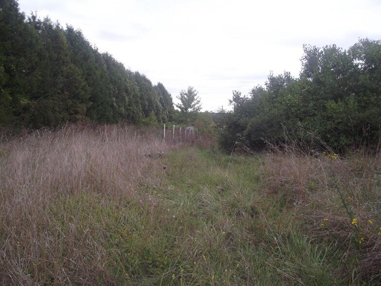 Terrain dans Chavanges à vendre - Plan de site – Image 1 sur 2