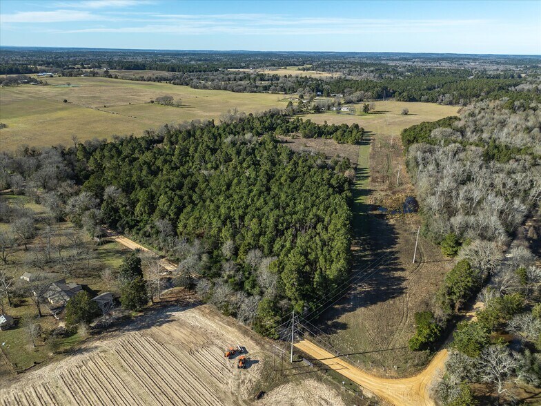 NW Corner CR 1890 & CR 1895, Grapeland, TX à vendre - Photo principale – Image 3 sur 37