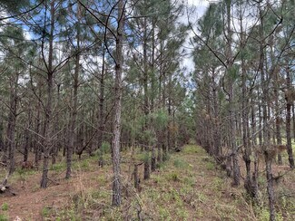Plus de détails pour 15941 120th St, Live Oak, FL - Terrain à vendre