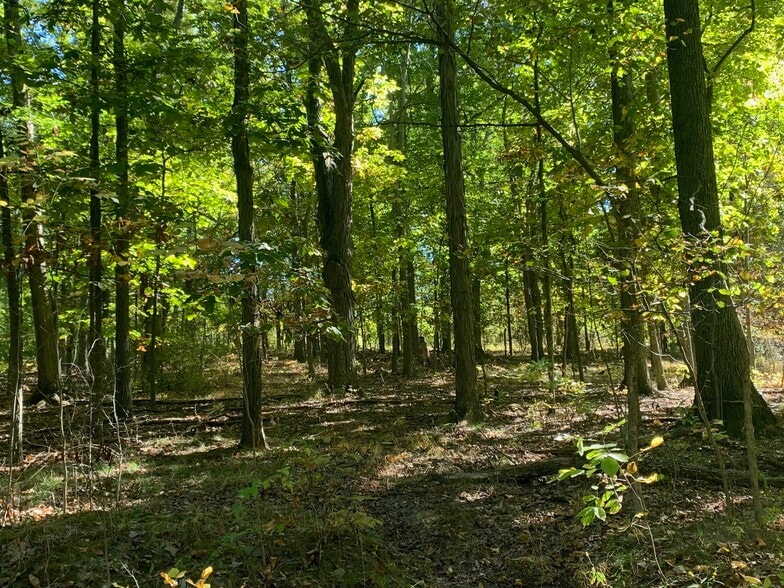 19345 Ridge Rd, North Royalton, OH à vendre - Photo de l’immeuble – Image 3 sur 39