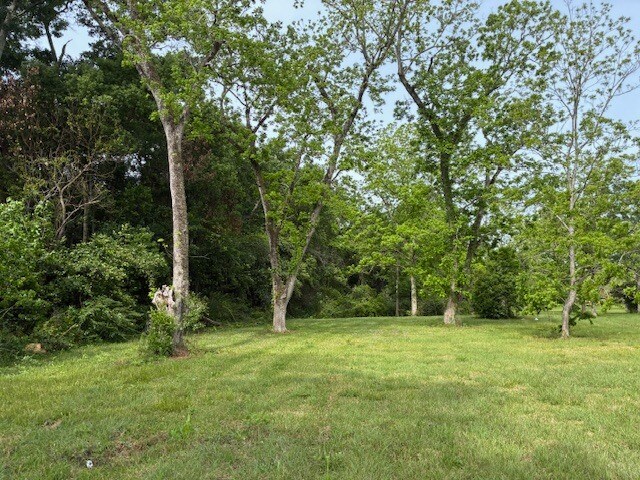 10030 Grand Bay Wilmer Rd S, Grand Bay, AL à vendre - Autre – Image 2 sur 8