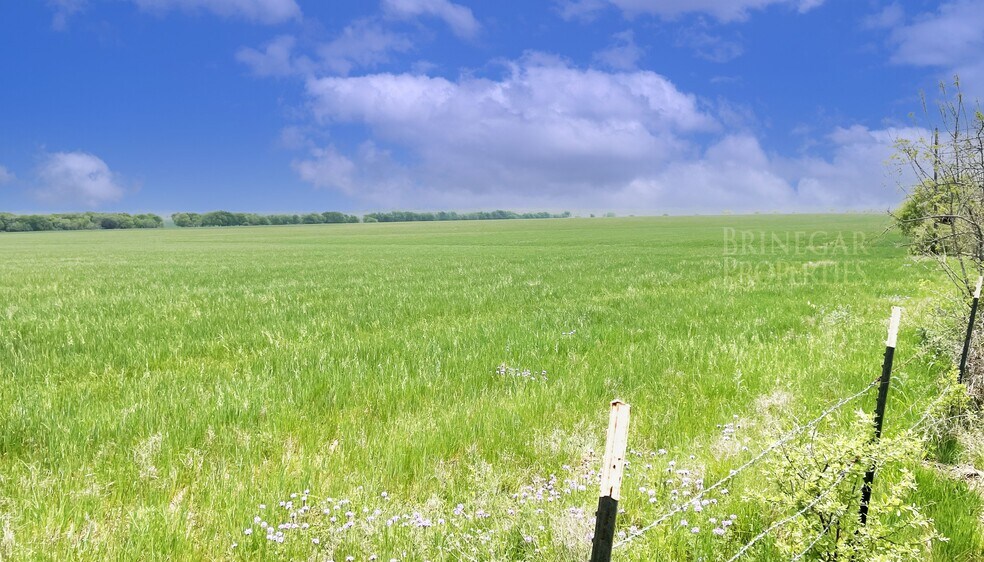County Road 307, Jarrell, TX à vendre - Autre – Image 3 sur 3