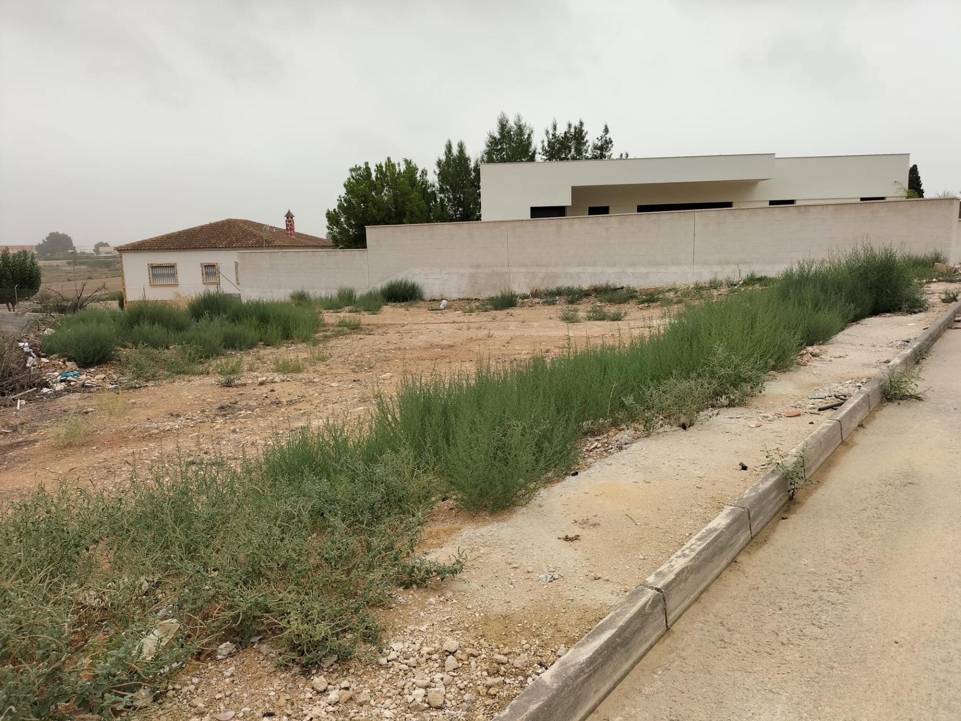 Terrain dans Cox, Alicante à vendre Photo de l’immeuble– Image 1 sur 6