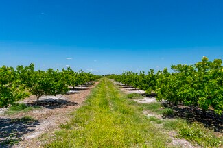 Plus de détails pour Hwy 31, Arcadia, FL - Terrain à vendre