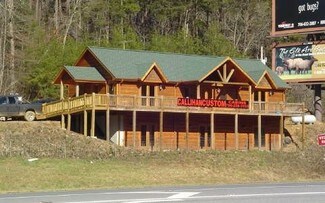 Plus de détails pour 495 Appalachian Hwy, Blue Ridge, GA - Bureau à vendre