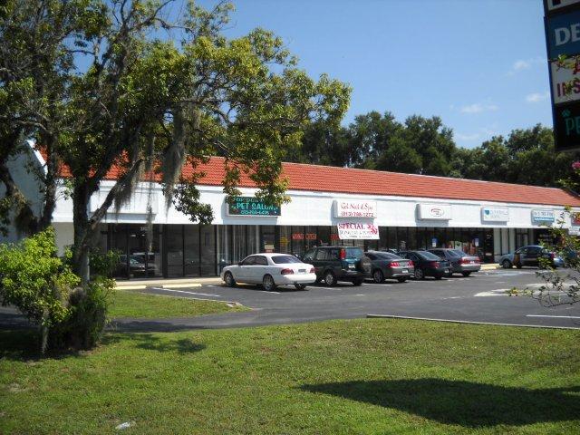 37031-37043 State Road 54, Zephyrhills, FL à louer - Photo de l’immeuble – Image 1 sur 3