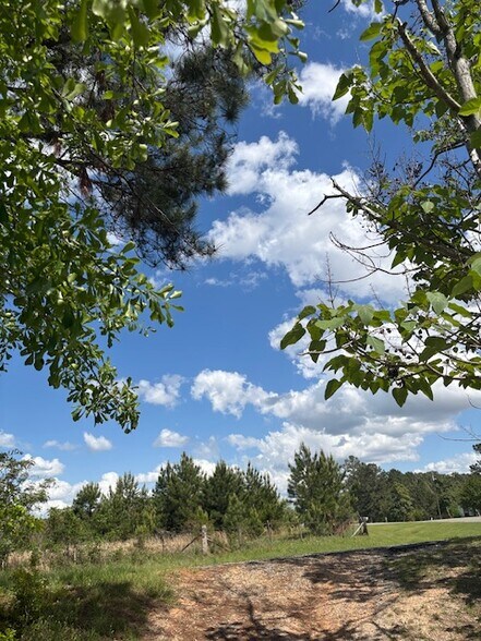 0 New Bethel Church Rd, Fitzgerald, GA à vendre - Autre – Image 2 sur 10