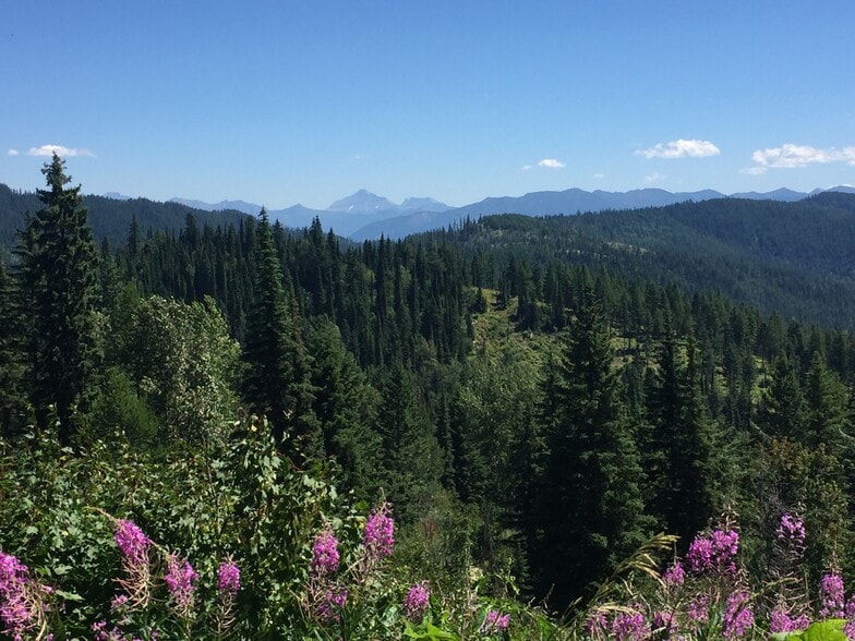Ashley Lake View Overlook, Kalispell, MT à vendre - Autre – Image 3 sur 6