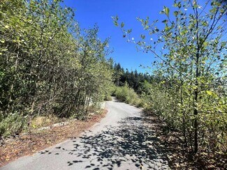 Plus de détails pour 4140 Cypress Bowl Rd, West Vancouver, BC - Terrain à vendre