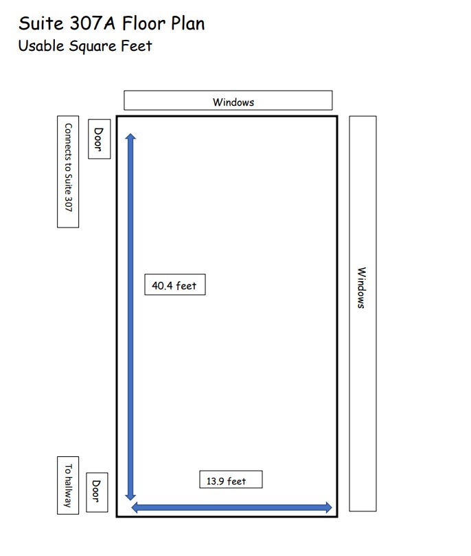 1111 N Wells St, Chicago, IL à louer Plan d’étage– Image 1 sur 3