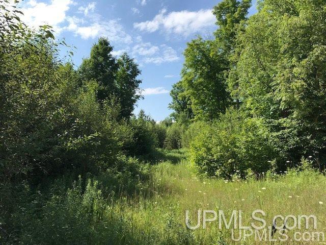 TBD Rock River Road, Deerton, MI à vendre - Photo de l’immeuble – Image 3 sur 8