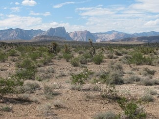 Plus de détails pour W Gomer Rd, Las Vegas, NV - Terrain à vendre