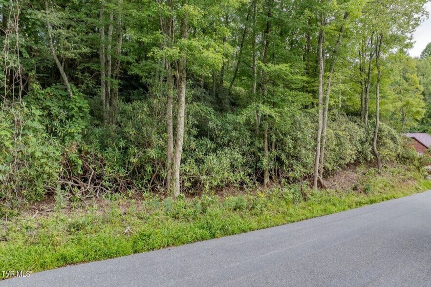 TBD Azen Rd, Damascus, VA à vendre - Aérien – Image 3 sur 7