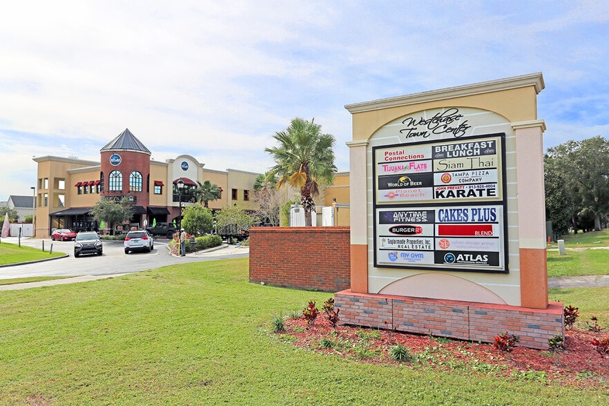 9540-9572 W Linebaugh Ave, Tampa, FL à vendre - Photo de l’immeuble – Image 3 sur 15