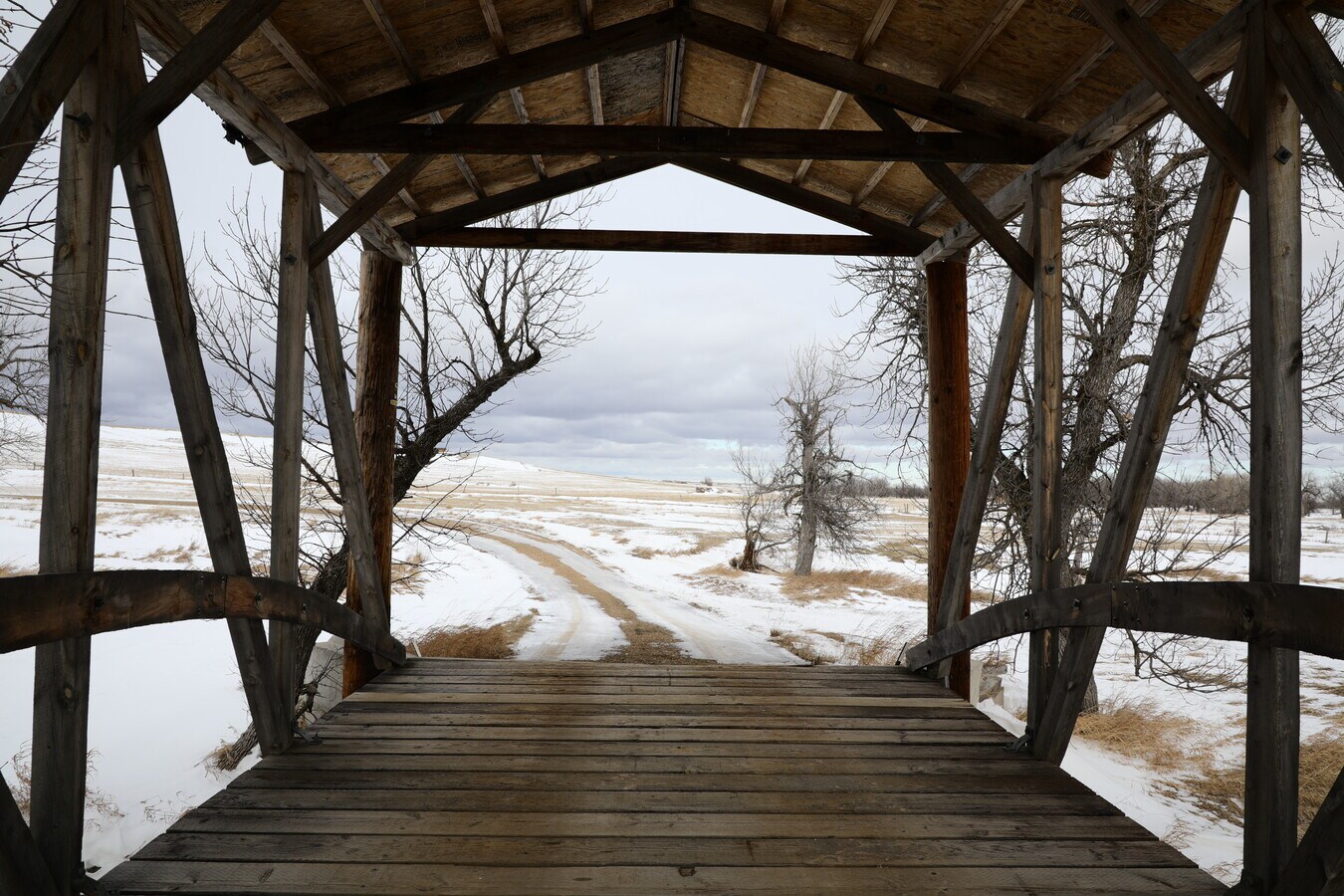 View Photo