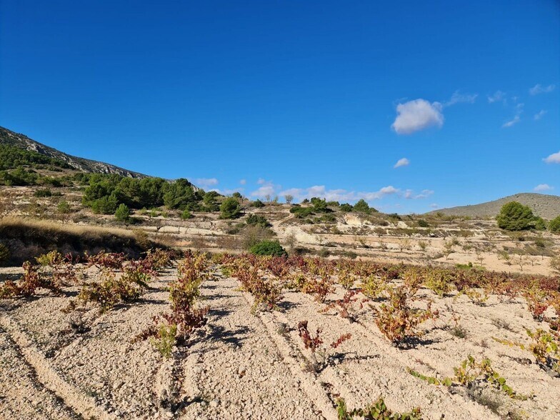 Terrain dans La Romana, Alicante à vendre - Aérien – Image 3 sur 15