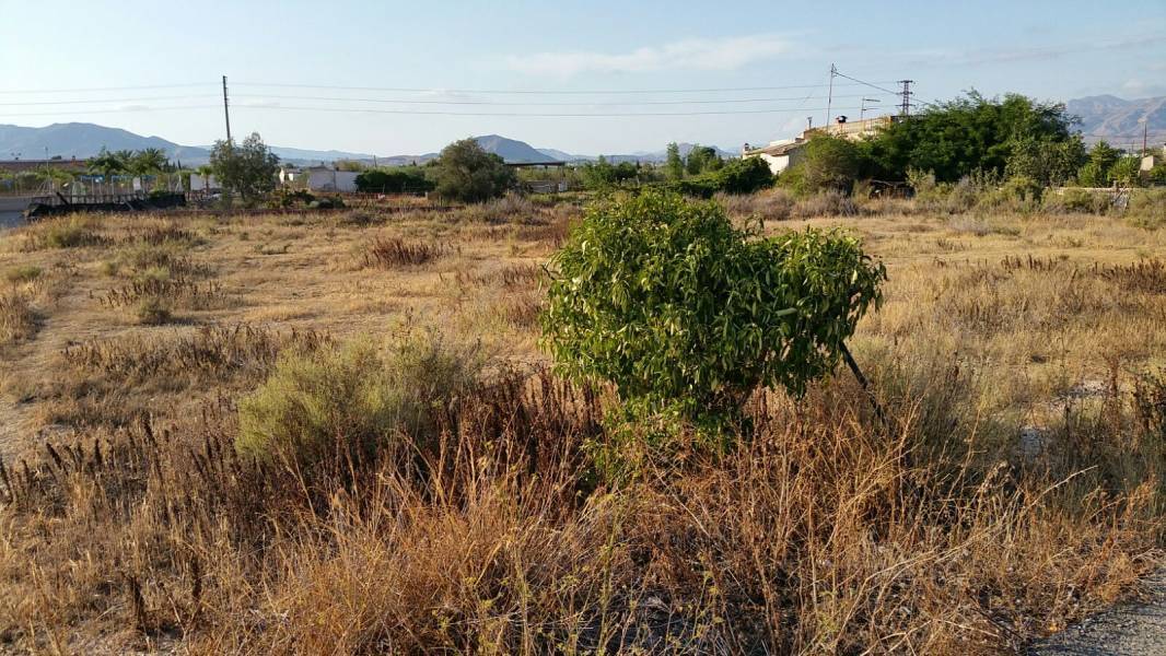 Terrain dans Aspe à vendre Plan de site– Image 1 sur 5