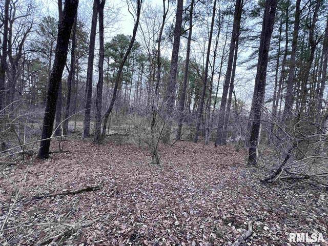 449 Pine Ln, Murphysboro, IL à vendre - Photo de l’immeuble – Image 3 sur 3