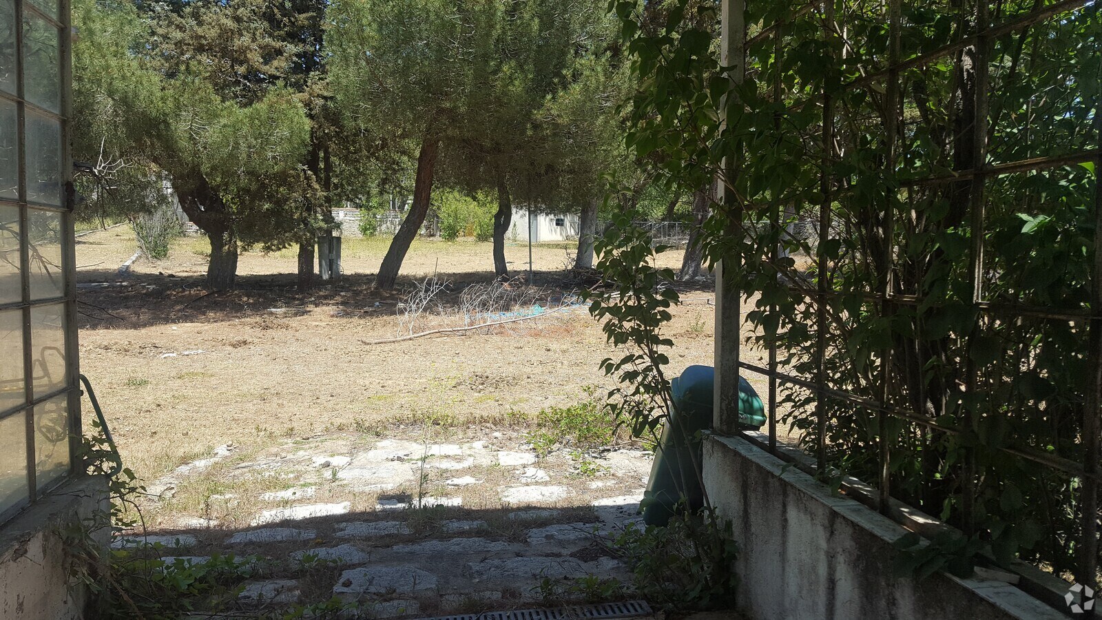 View Photo