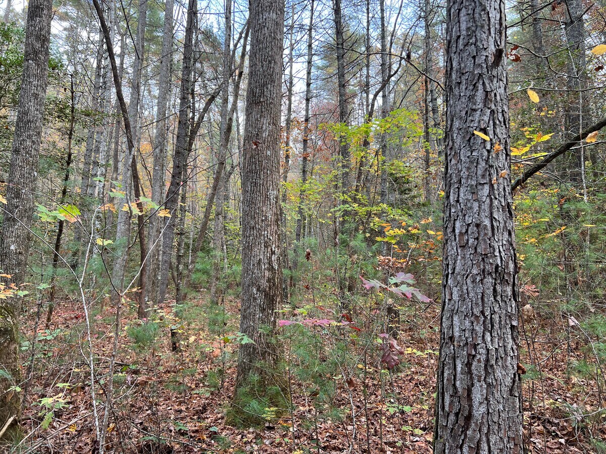 View Photo