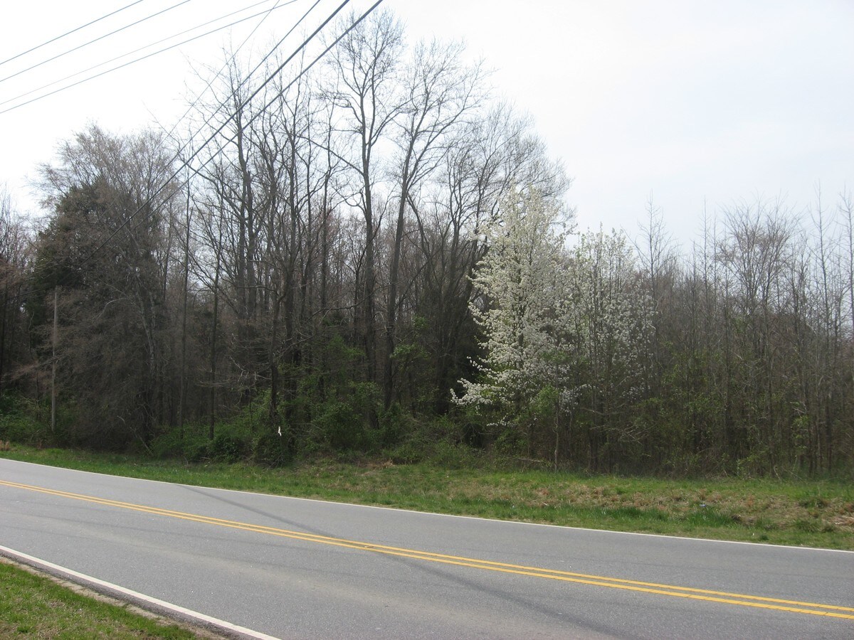 View Photo