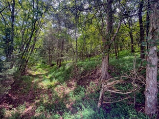 Plus de détails pour 910 Old Fort Ln, Chuckey, TN - Terrain à vendre