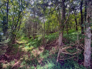 Plus de détails pour 910 Old Fort Ln, Chuckey, TN - Terrain à vendre