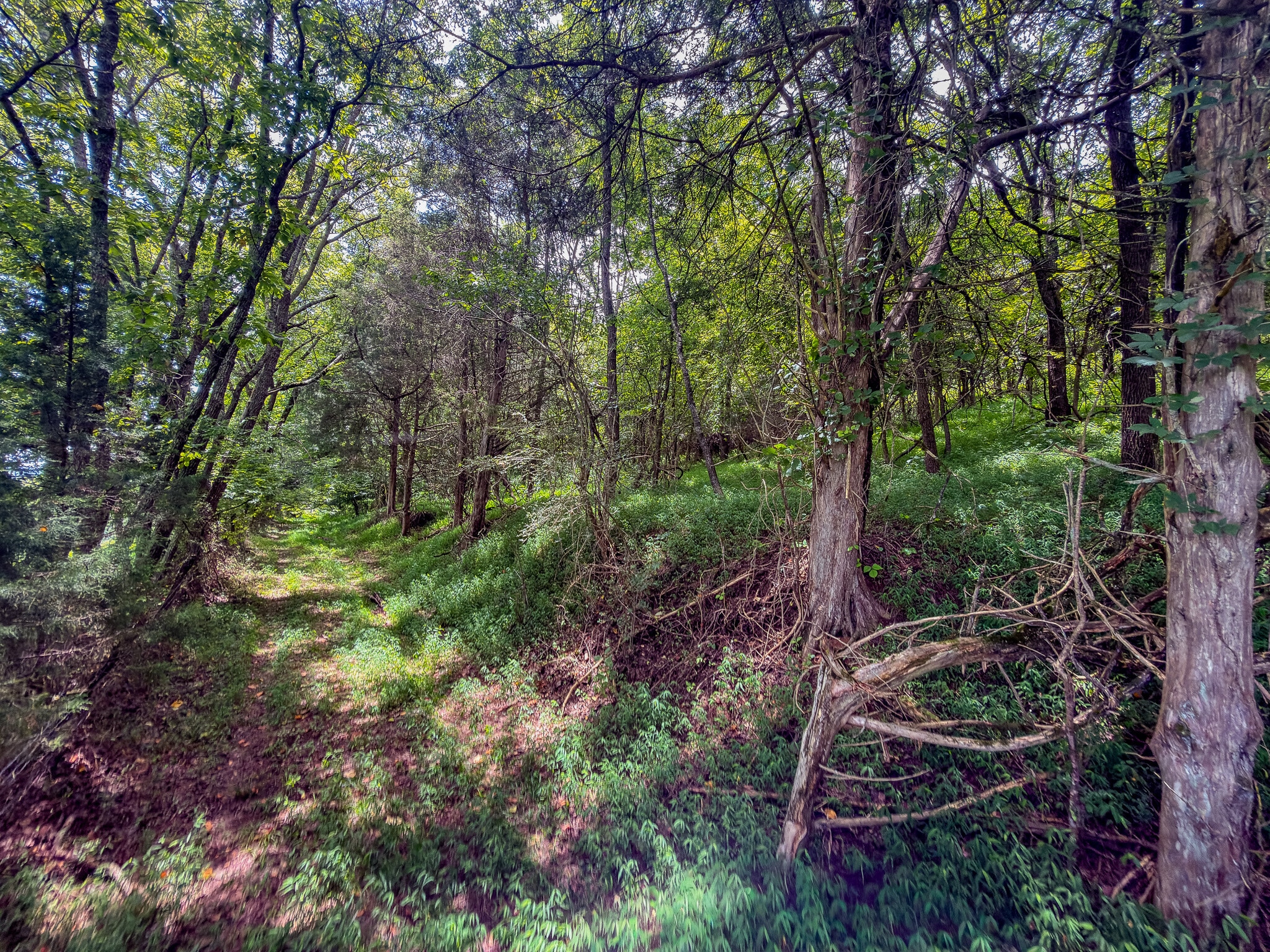 910 Old Fort Ln, Chuckey, TN à vendre Photo principale– Image 1 sur 9