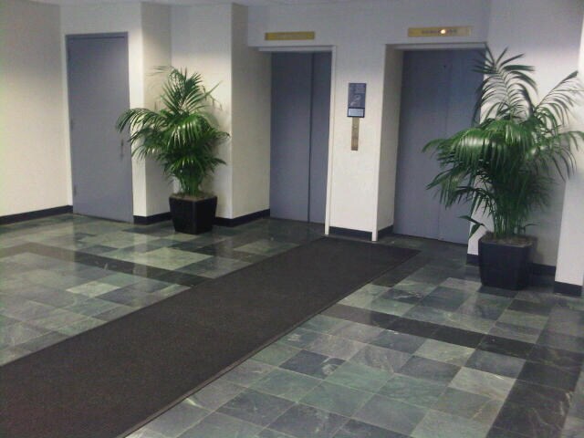 250 Fulton Ave, Hempstead, NY à louer - Photo intérieure – Image 2 sur 4