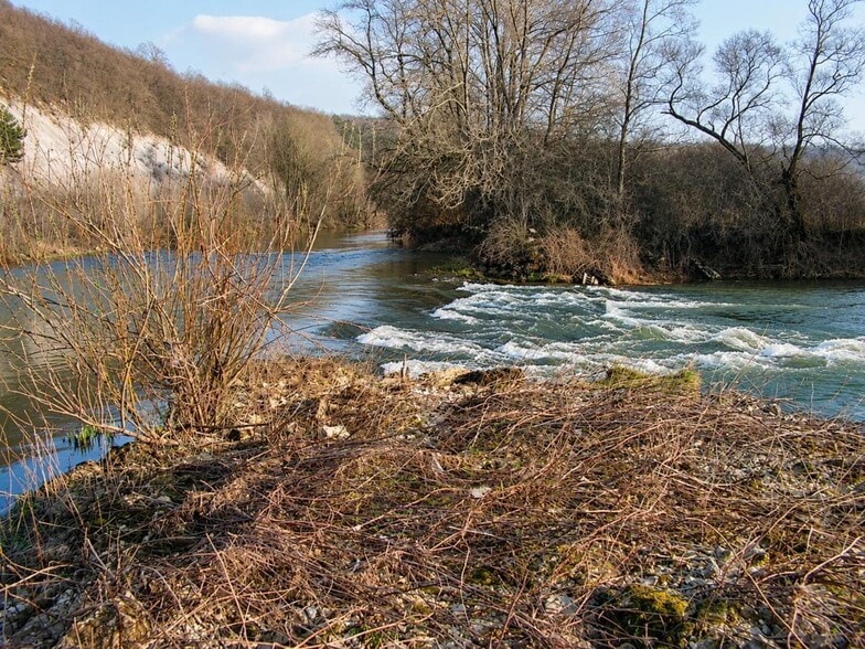 Local commercial dans Pagny-sur-Meuse à vendre - Photo de l’immeuble – Image 1 sur 4