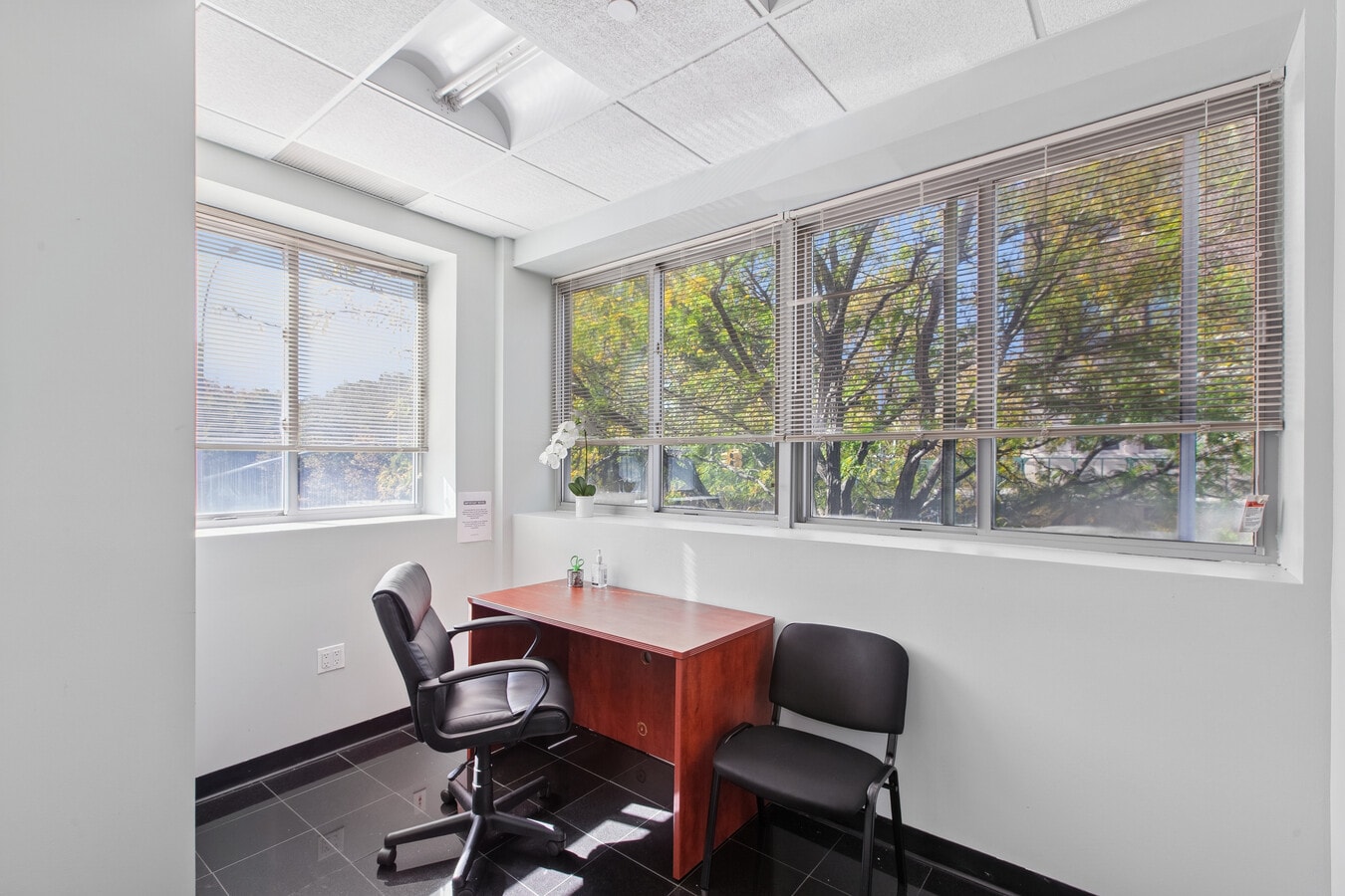 55 Greene Ave, Brooklyn, NY 11238 - Lot 2B - - Photo intérieure - Image 2 of 4