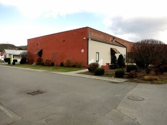Plus de détails pour 362 Mountain Ave, White Sulphur Springs, WV - Industriel/Logistique à vendre