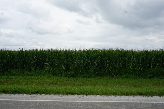 7500 State Rte 50, Manteno, IL à vendre - Photo de l’immeuble – Image 2 sur 6