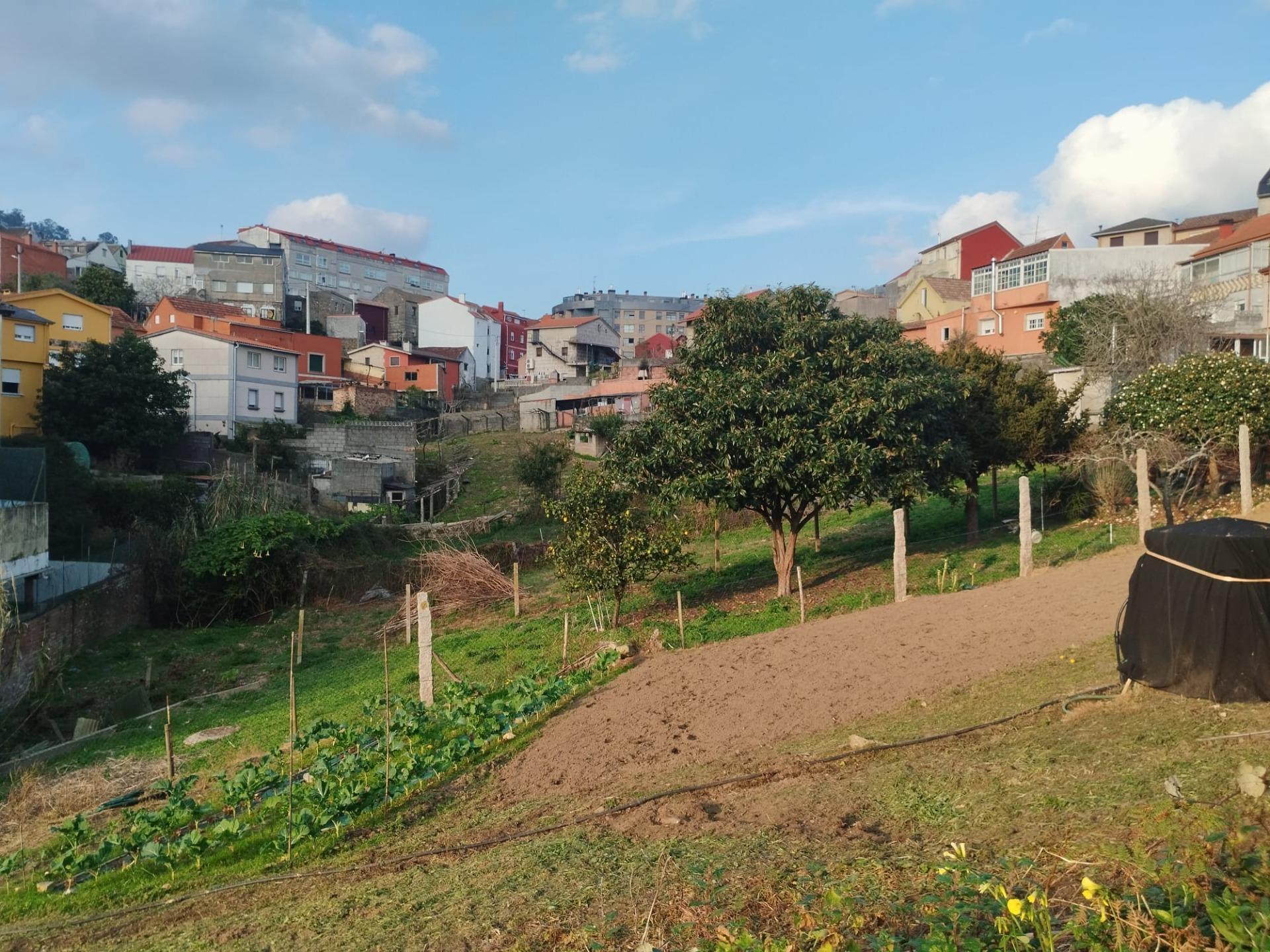 Rúa Ramón Nieto, S/N, Vigo, Pontevedra à vendre Aérien– Image 1 sur 10