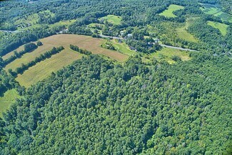 Plus de détails pour 450 NY-17K, Bloomingburg, NY - Terrain à vendre