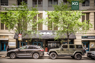 Plus de détails pour 22 E Hubbard St, Chicago, IL - Local commercial à louer