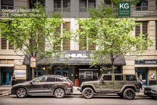 Plus de détails pour 22 E Hubbard St, Chicago, IL - Local commercial à louer