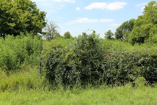 Plus de détails pour 3210 Hwy 35, Alvin, TX - Terrain à louer