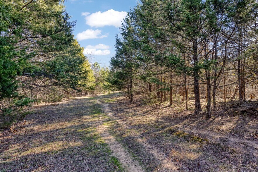 190202 N 4130 Rd, Antlers, OK à vendre - Aérien – Image 3 sur 52