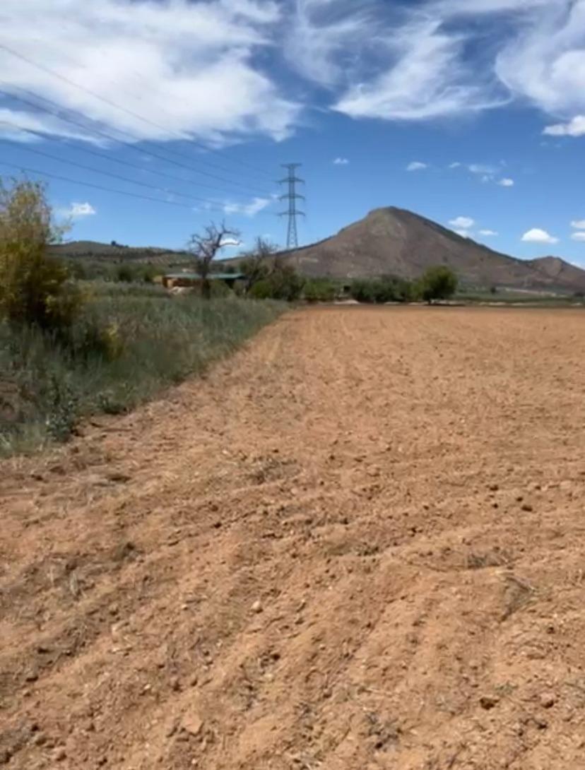 la Zanja, Albolote, Granada à vendre Aérien– Image 1 sur 4