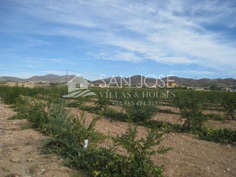 Terrain dans Aspe, Alicante à vendre - Plan de site – Image 1 sur 3