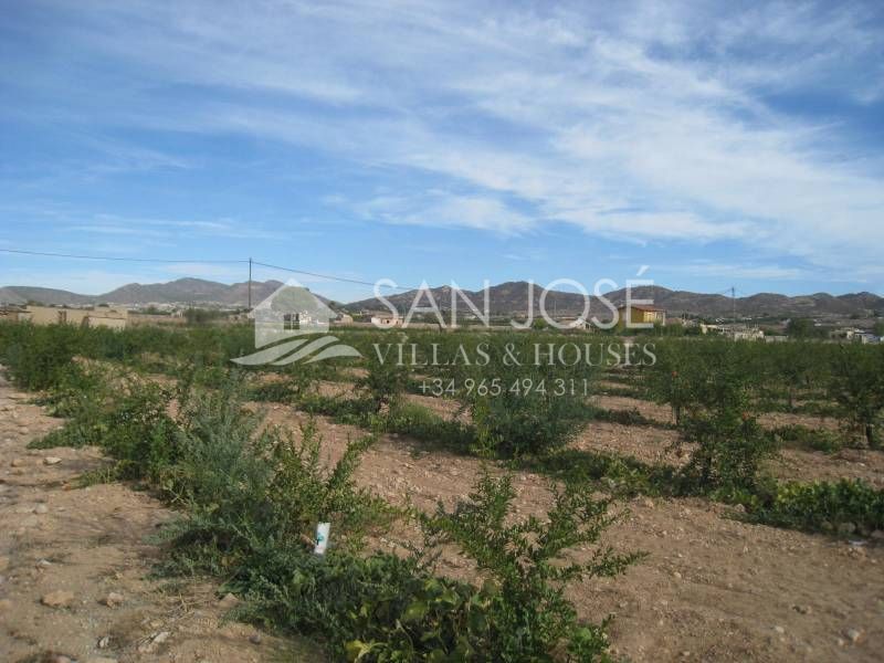 Terrain dans Aspe, Alicante à vendre Plan de site– Image 1 sur 4
