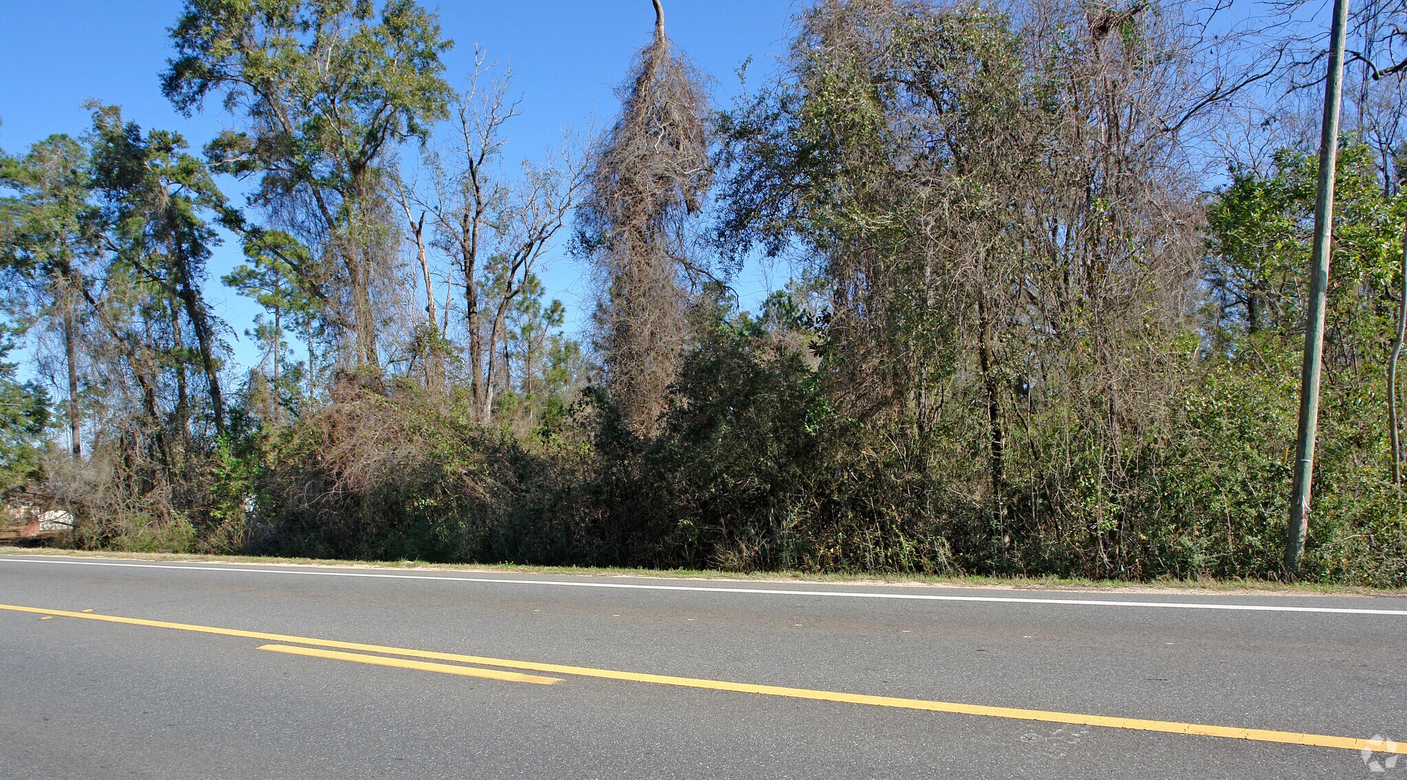 Crawfordville Highway, Crawfordville, FL à vendre Autre– Image 1 sur 4