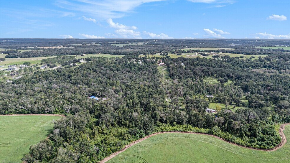 14638 Treeleaf Ln, Dade City, FL à vendre - Photo de l’immeuble – Image 2 sur 4