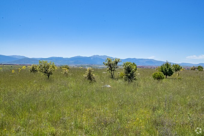 View Photo