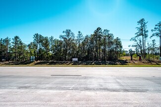 Plus de détails pour 0 State Highway 242, New Caney, TX - Terrain à vendre