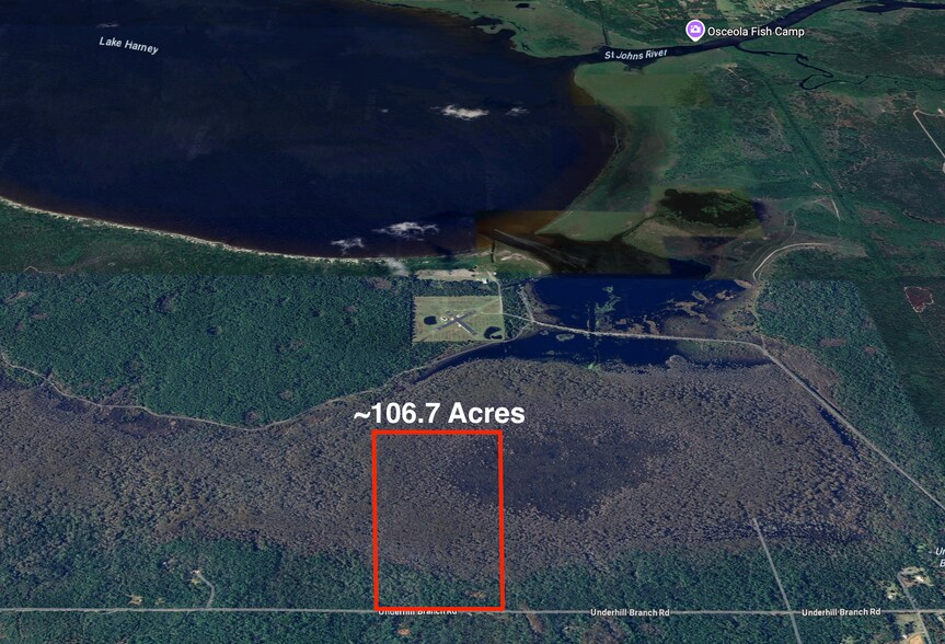 Lake Harney Rd, Osteen, FL à vendre - Photo de l’immeuble – Image 3 sur 14