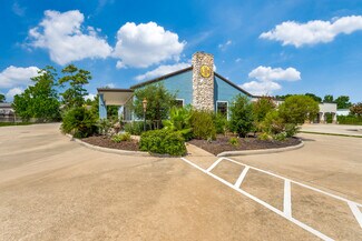 Plus de détails pour 17297 Stuebner Airline Rd, Spring, TX - Local commercial à vendre